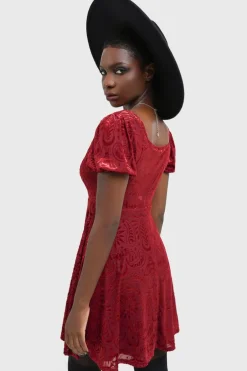 Lepidoptera Skater Dress